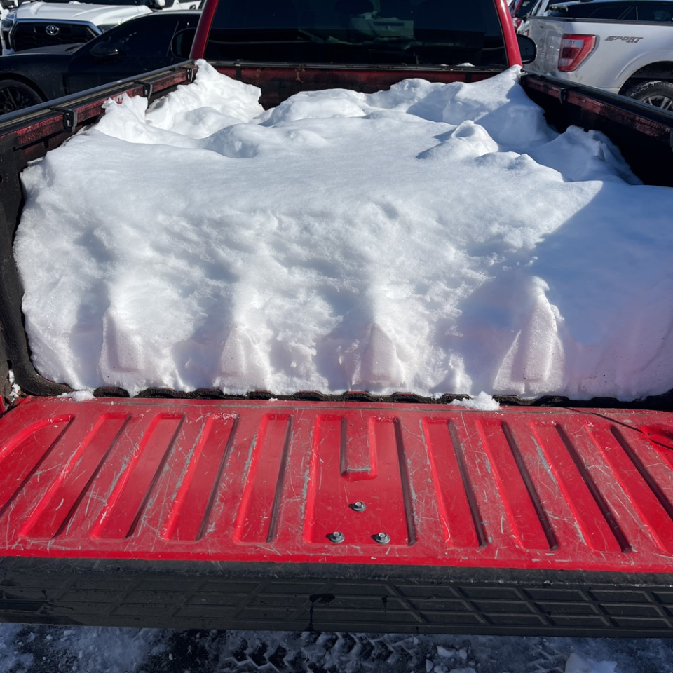 Chevrolet Silverado 1500 4WD Reg Cab 133.0" Work Truck 2008