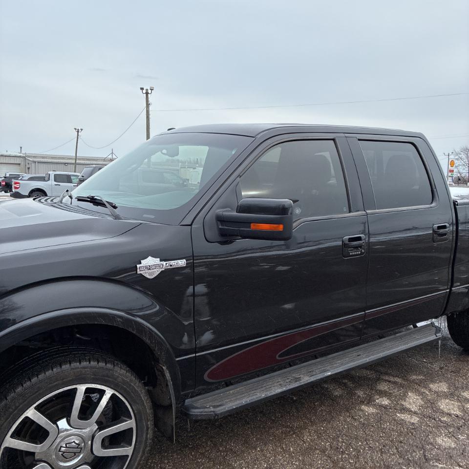 Ford F-150 Harley-Davidson SuperCrew 5.5-ft. Bed 4WD 2010