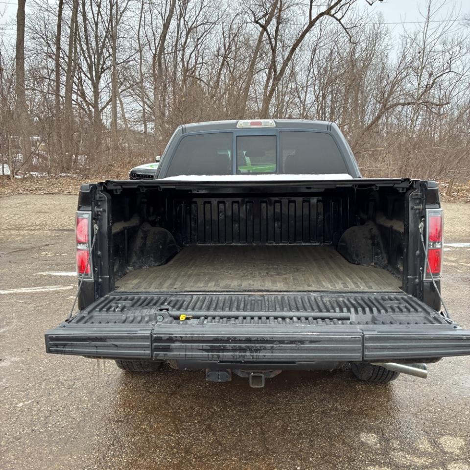 Ford F-150 Harley-Davidson SuperCrew 5.5-ft. Bed 4WD 2010