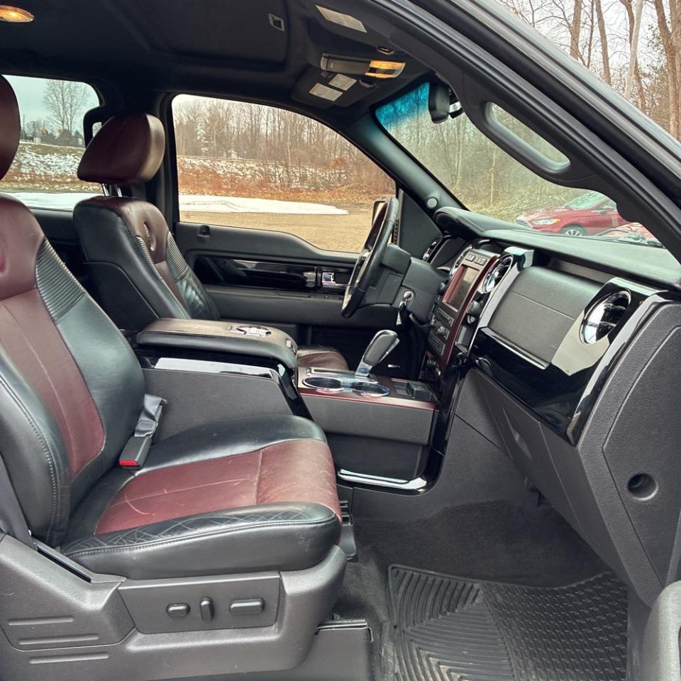 Ford F-150 Harley-Davidson SuperCrew 5.5-ft. Bed 4WD 2010