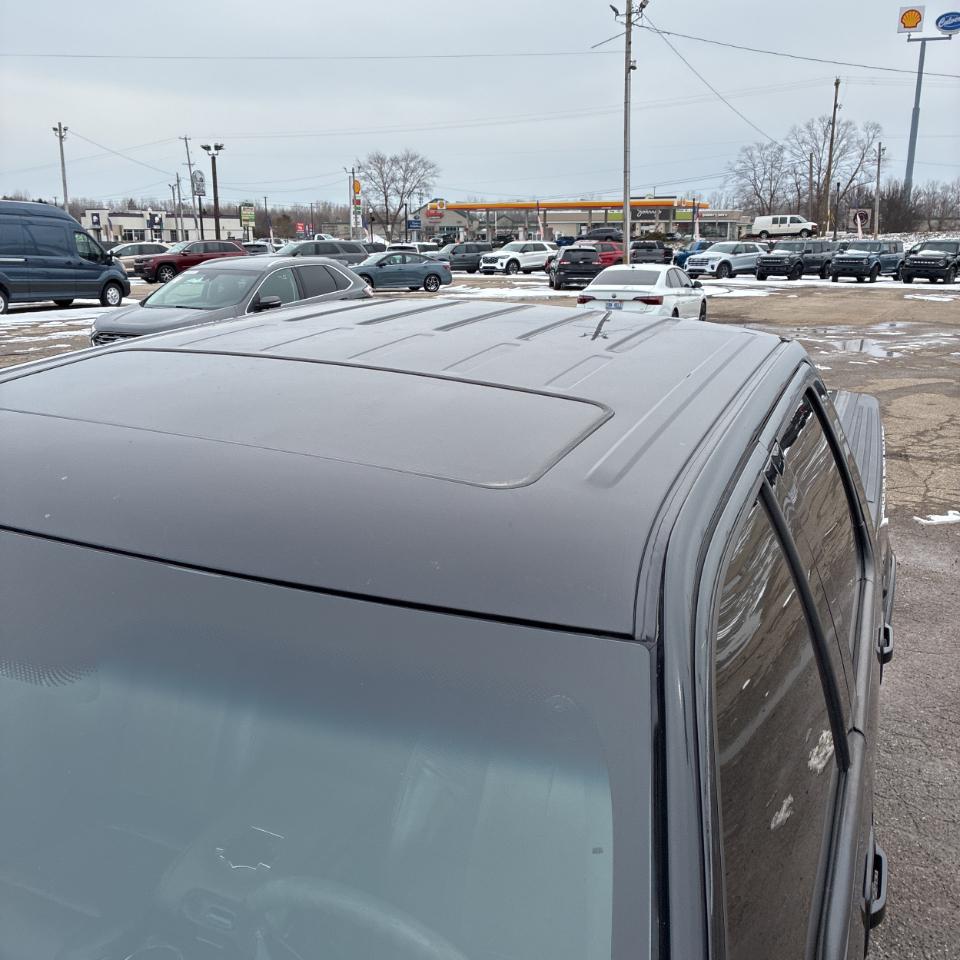 Ford F-150 Harley-Davidson SuperCrew 5.5-ft. Bed 4WD 2010