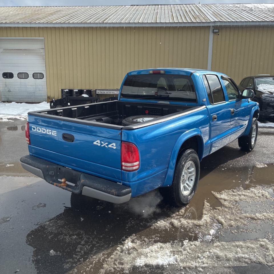 Dodge Dakota Quad Cab 131" WB 4WD Sport 2001