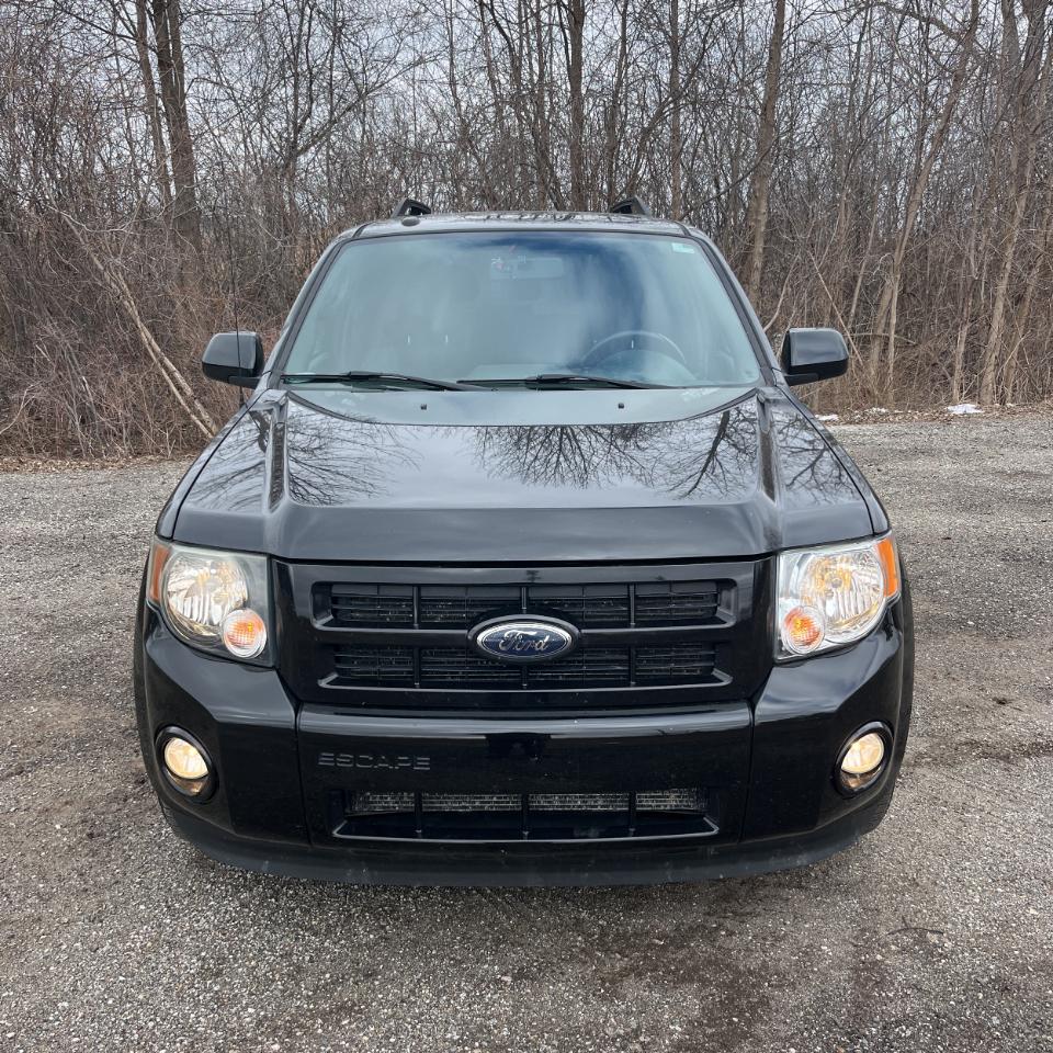 Ford Escape FWD 4dr V6 Auto XLT 2009
