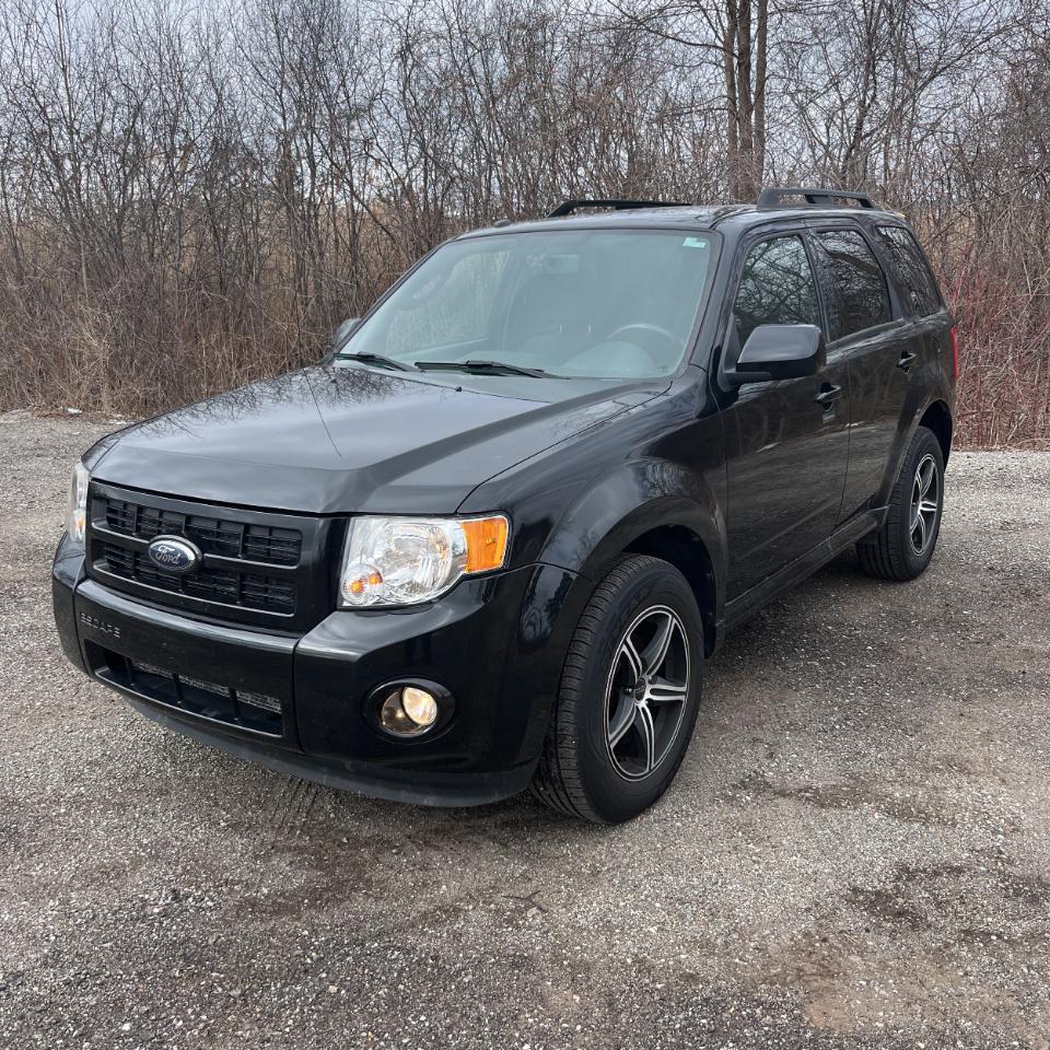 Ford Escape FWD 4dr V6 Auto XLT 2009