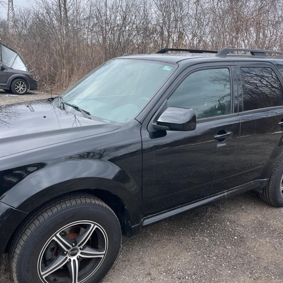 Ford Escape FWD 4dr V6 Auto XLT 2009