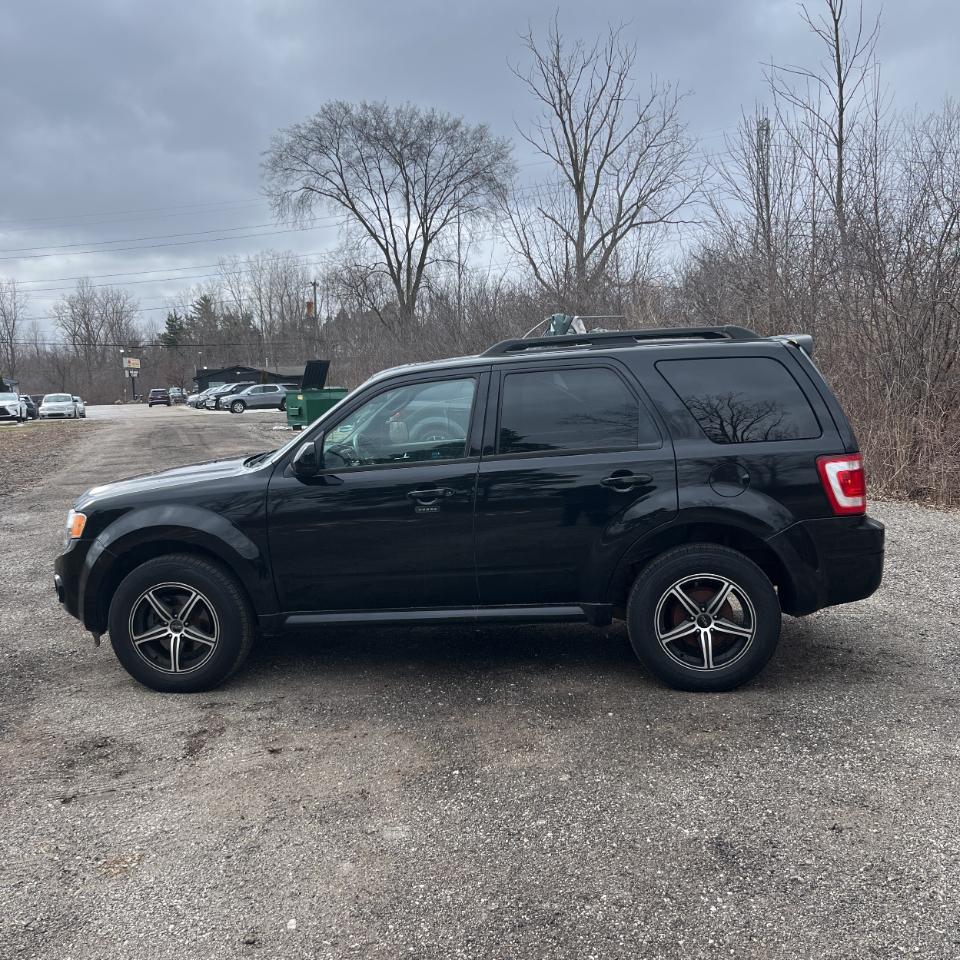 Ford Escape FWD 4dr V6 Auto XLT 2009