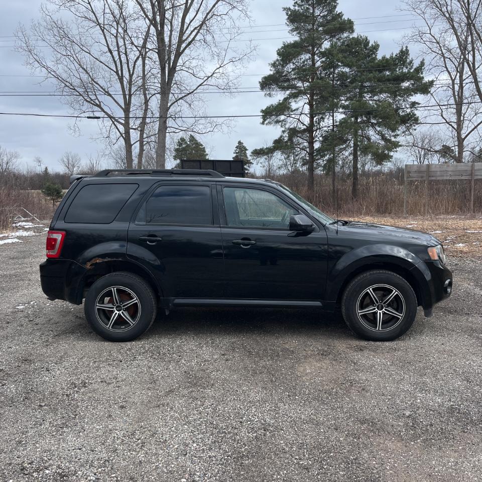 Ford Escape FWD 4dr V6 Auto XLT 2009