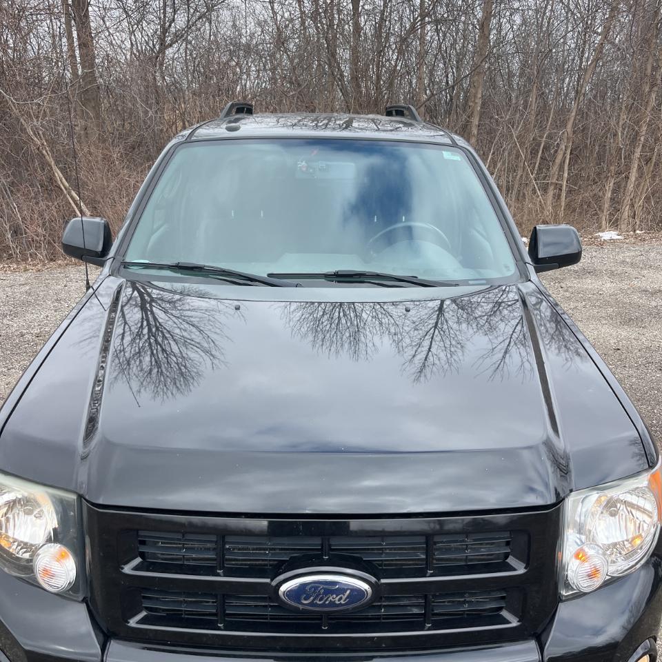 Ford Escape FWD 4dr V6 Auto XLT 2009