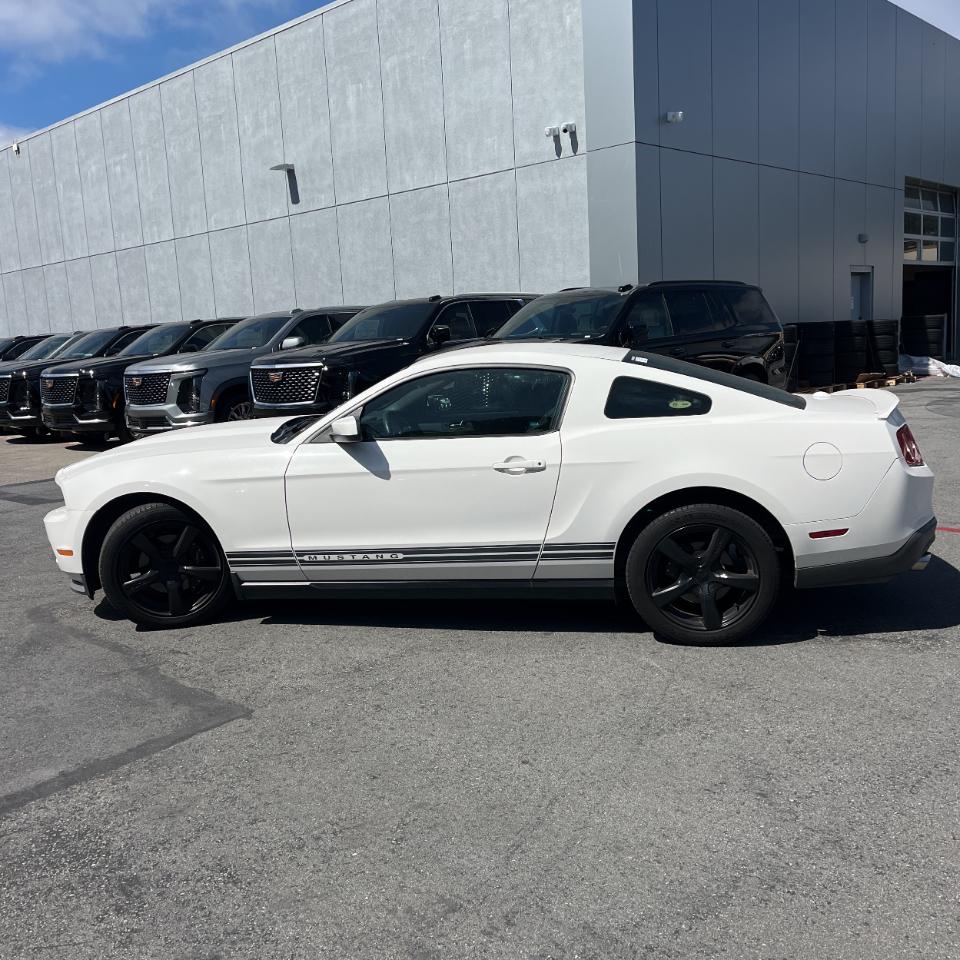 Ford Mustang 2dr Cpe V6 2011