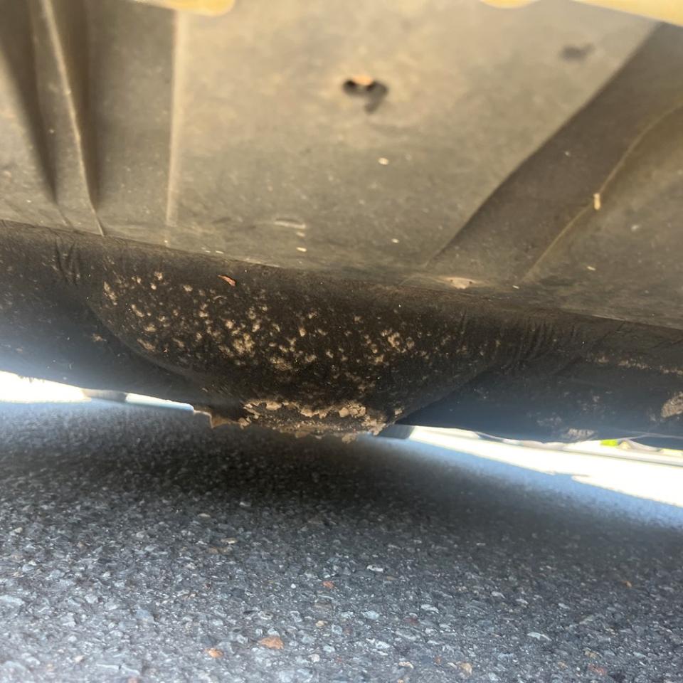 Ford Transit Connect Van XLT LWB w/Rear Symmetrical Doors 2019