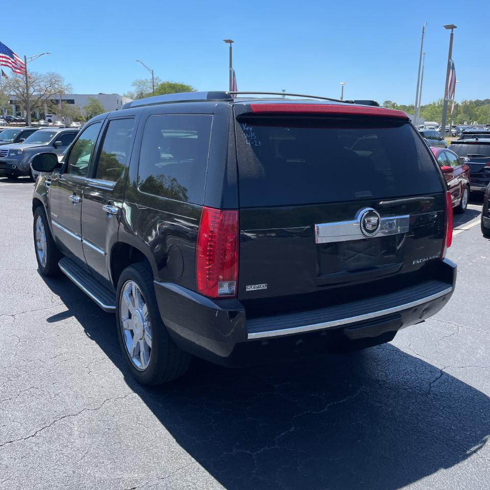 Cadillac Escalade AWD 4dr Luxury 2010