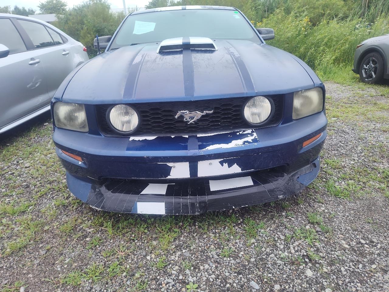 Ford Mustang 2dr Cpe GT Deluxe 2007