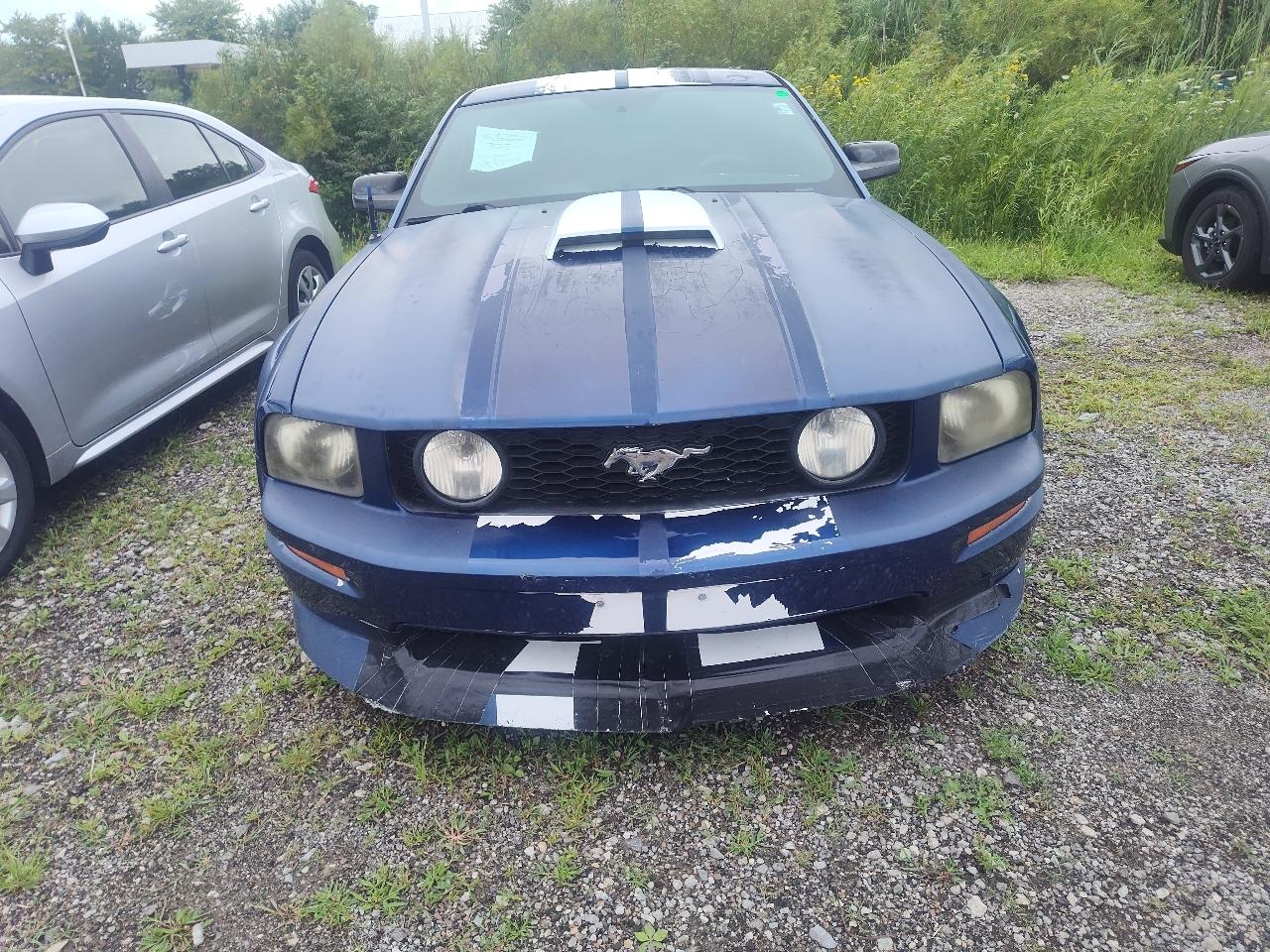 Ford Mustang 2dr Cpe GT Deluxe 2007