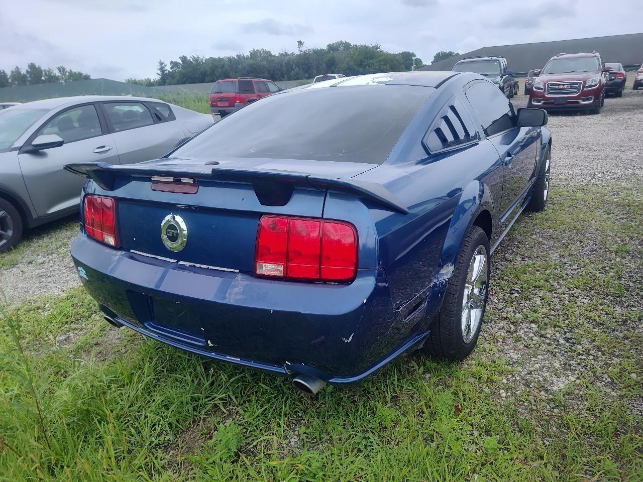 Ford Mustang 2dr Cpe GT Deluxe 2007