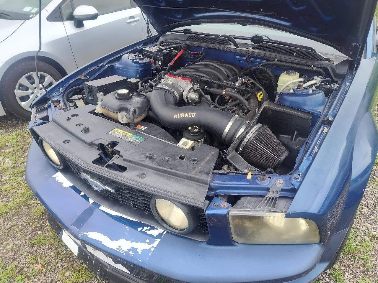Ford Mustang 2dr Cpe GT Deluxe 2007