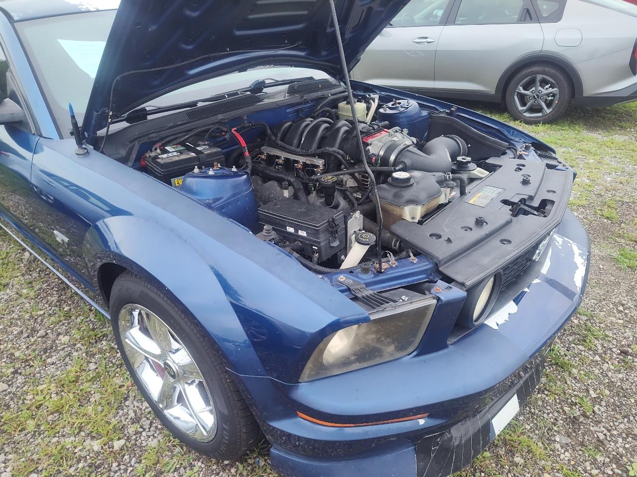 Ford Mustang 2dr Cpe GT Deluxe 2007
