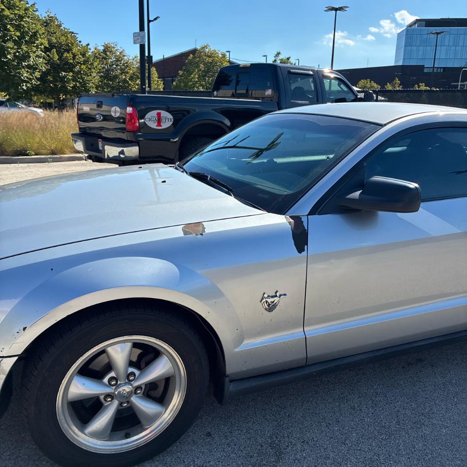 Ford Mustang 2dr Cpe 2009