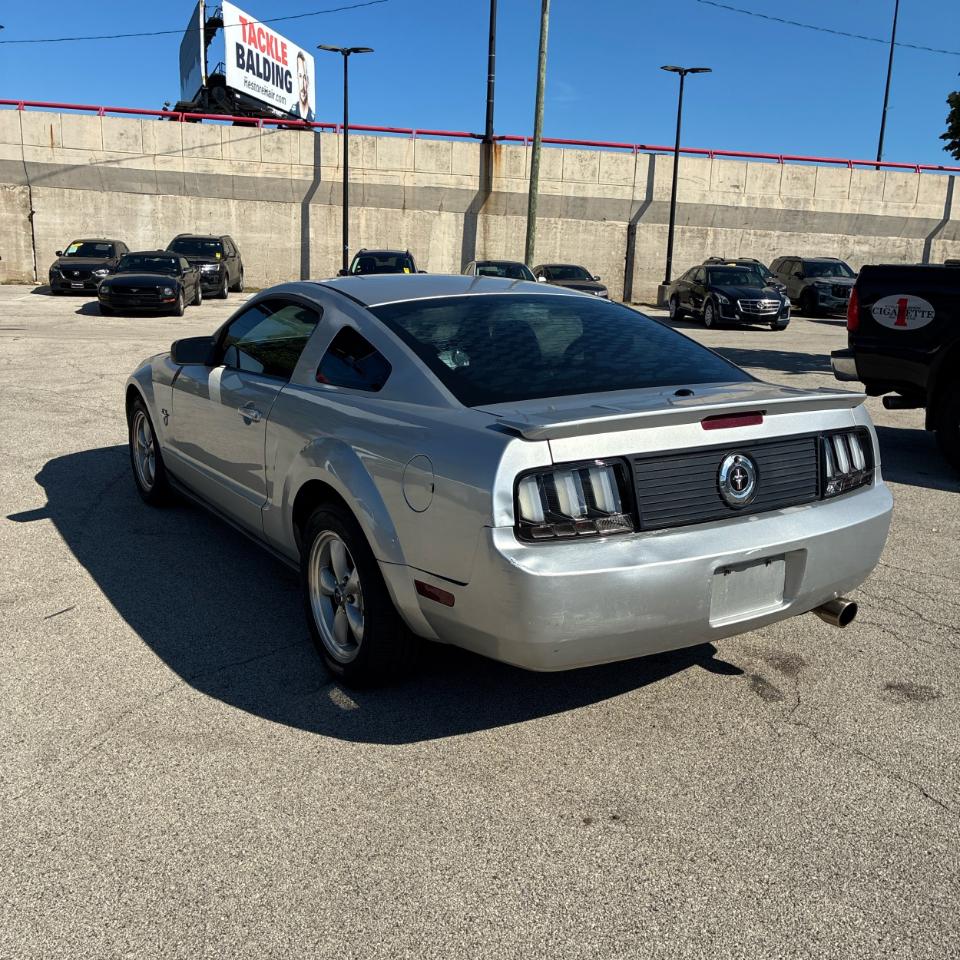 Ford Mustang 2dr Cpe 2009