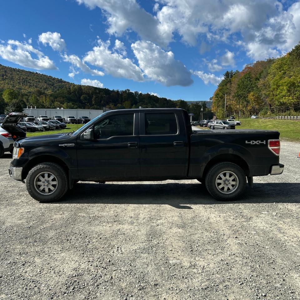 Ford F-150 4WD SuperCrew 145" XL 2013