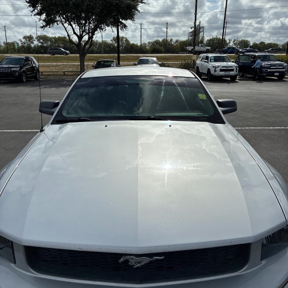 Ford Mustang 2dr Cpe Standard 2006