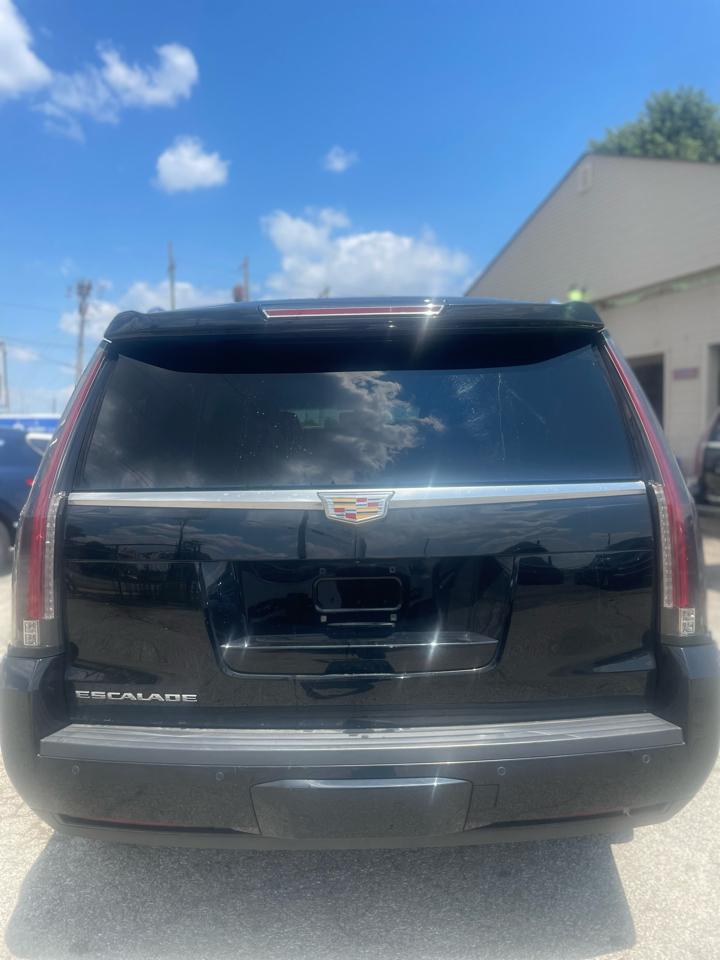 Photo 3