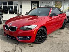 2015 BMW 2-Series 