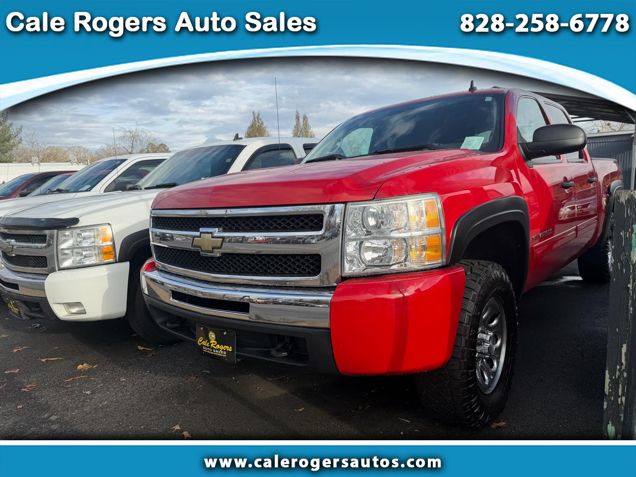 2010 Chevrolet Silverado 1500 LS Crew Cab 4WD