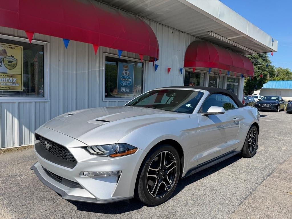 2019 Ford Mustang 