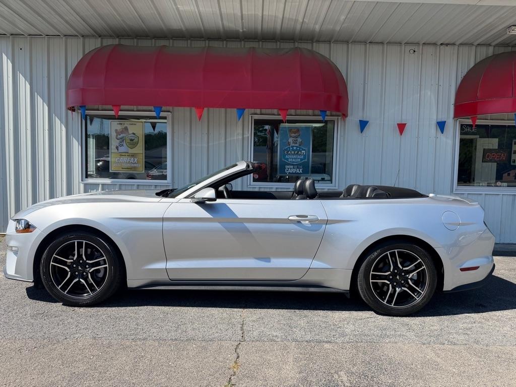 Ford Mustang  2019