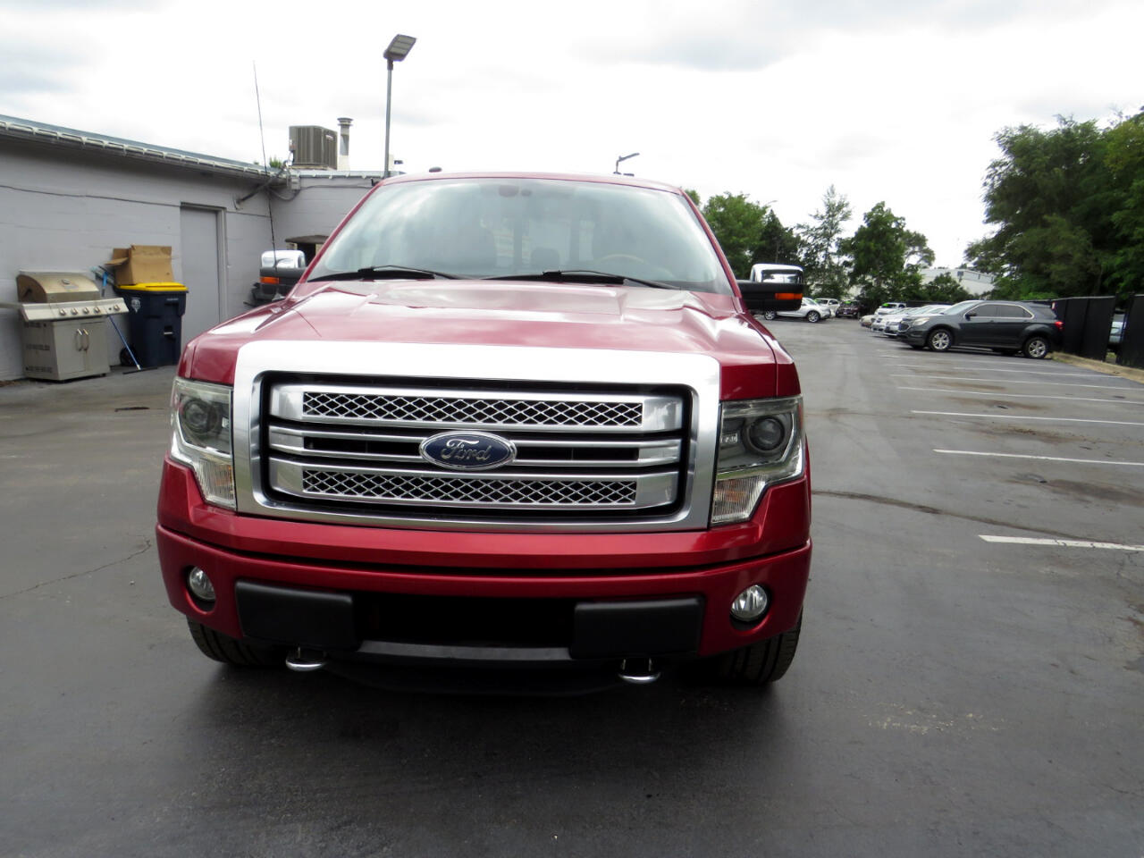 2013 Ford F-150 Platinum photo 3