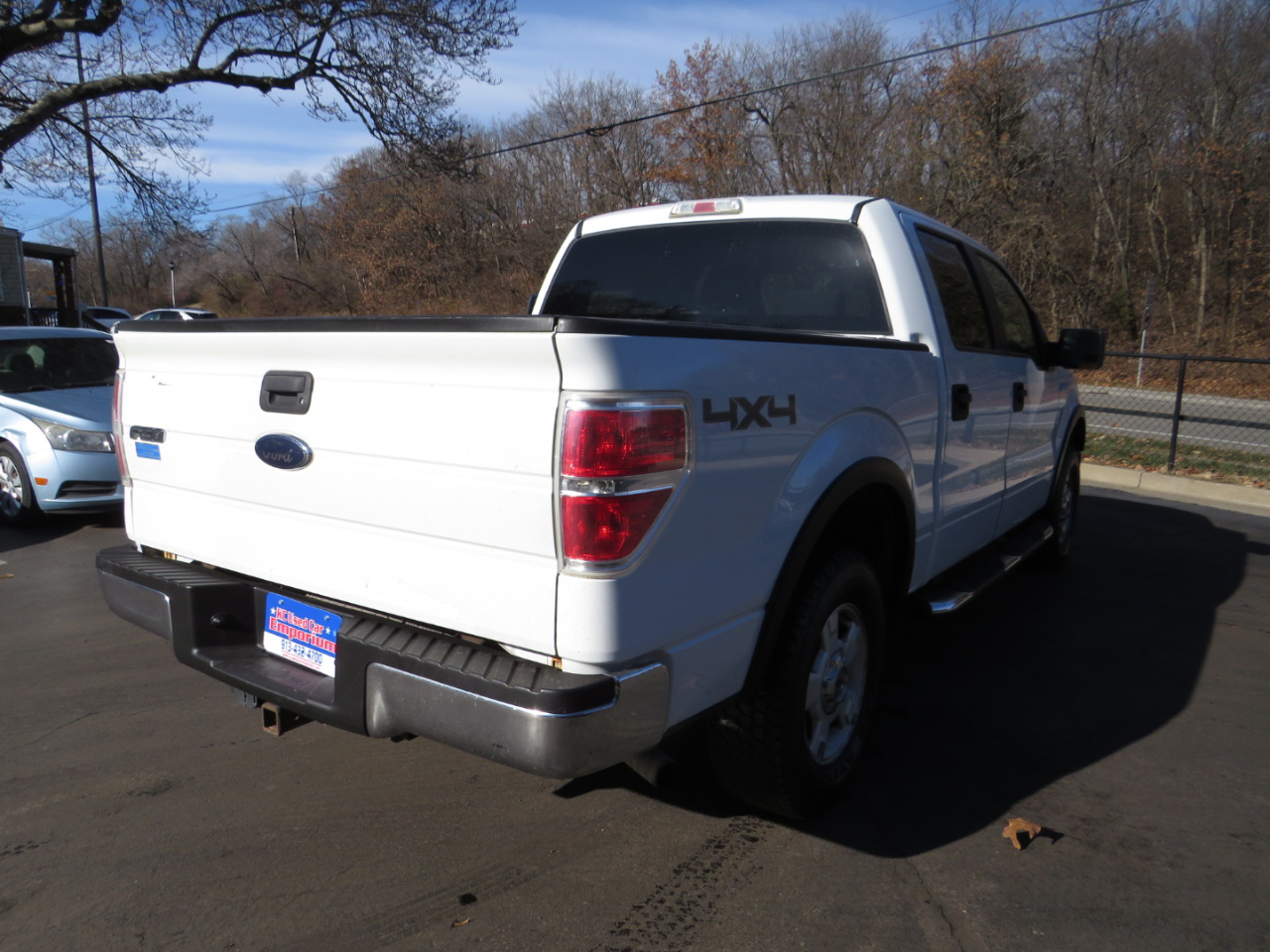 Ford F-150 4WD SuperCrew 145" Platinum 2009