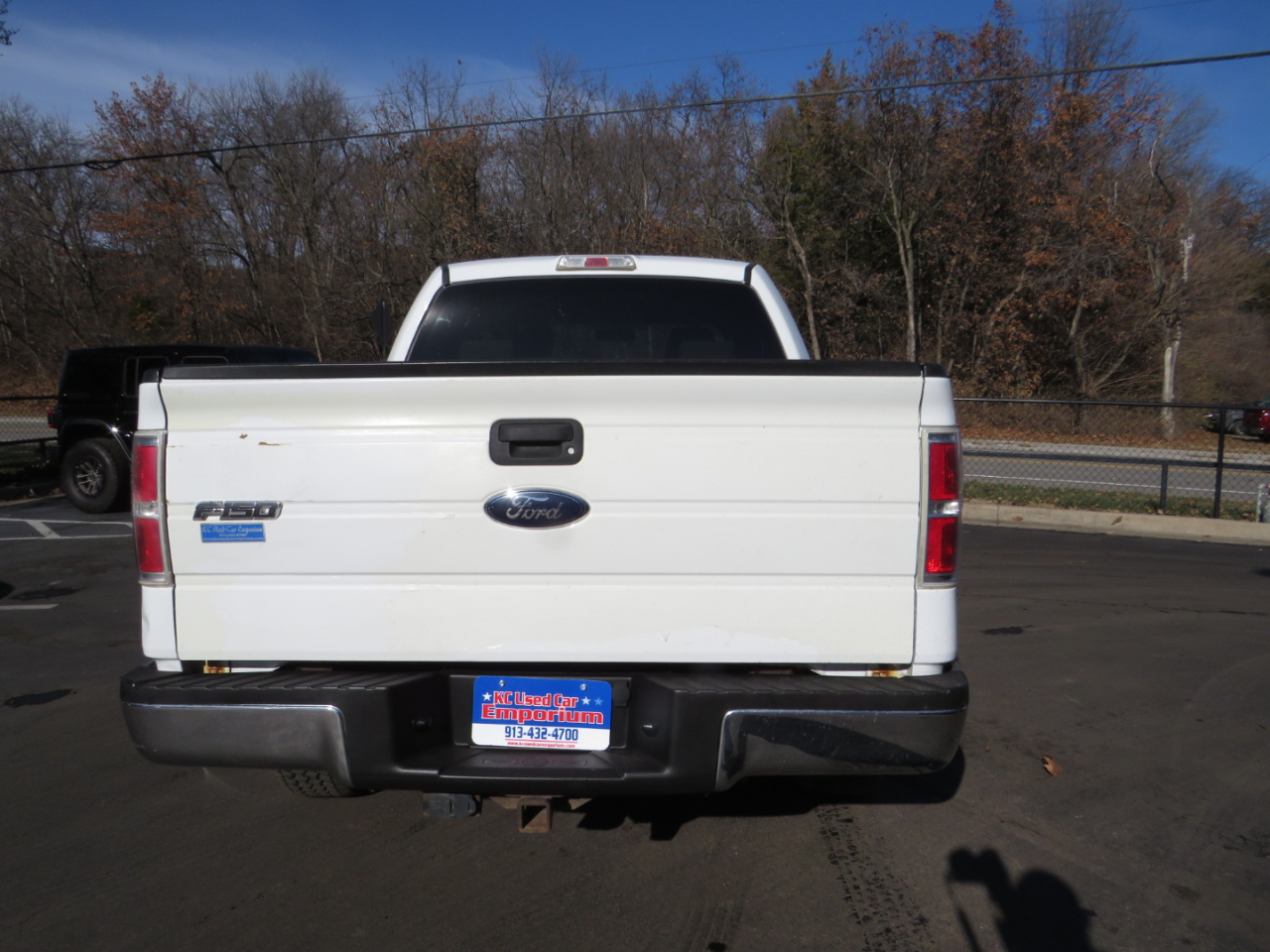 Ford F-150 4WD SuperCrew 145" Platinum 2009