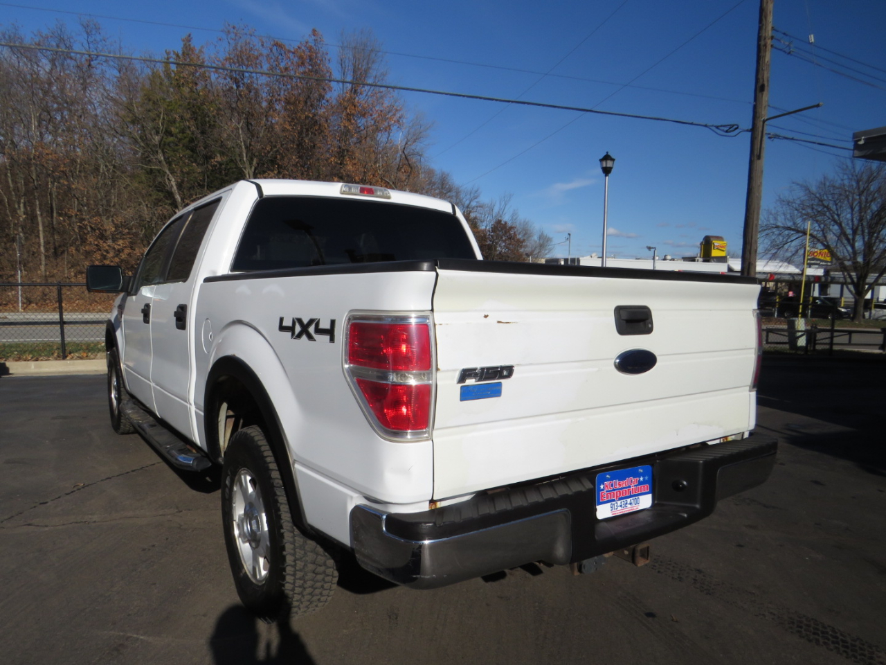 Ford F-150 4WD SuperCrew 145" Platinum 2009