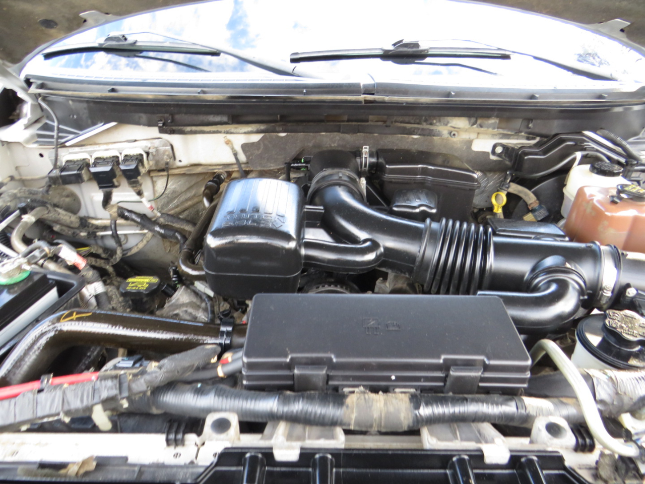 Ford F-150 AWD SuperCrew 145" Harley-Davidson 2010