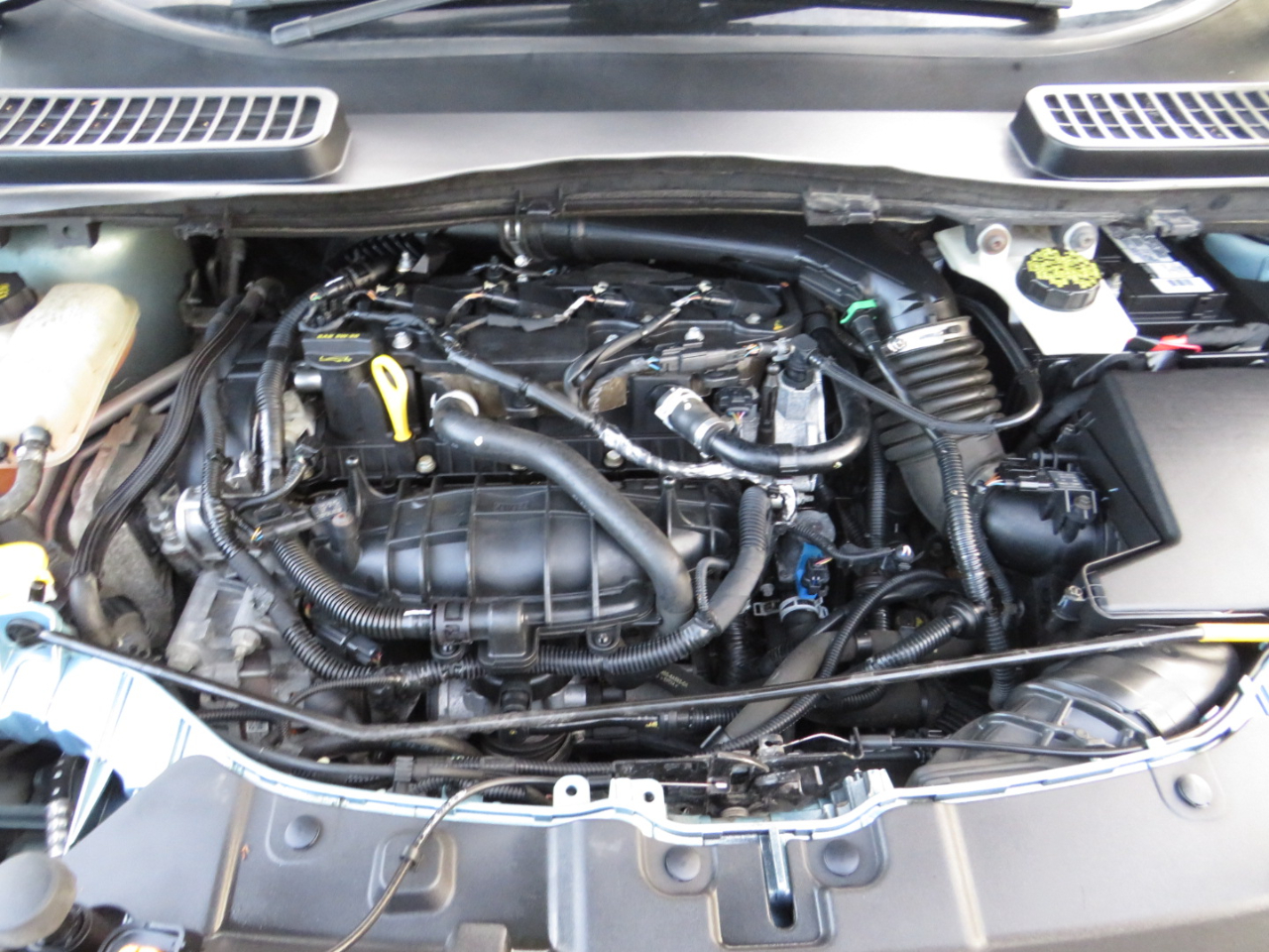 Ford Escape FWD 4dr SEL 2013