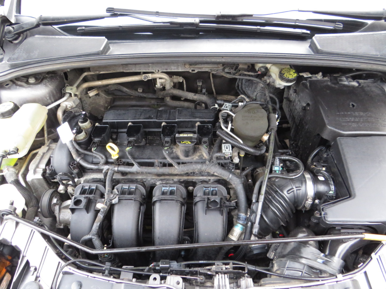 Ford Focus 4dr Sdn SE 2012