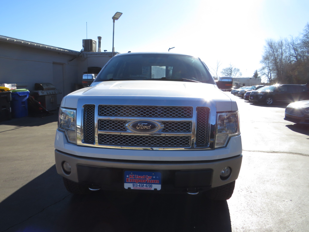 Ford F-150 AWD SuperCrew 145" Harley-Davidson 2010