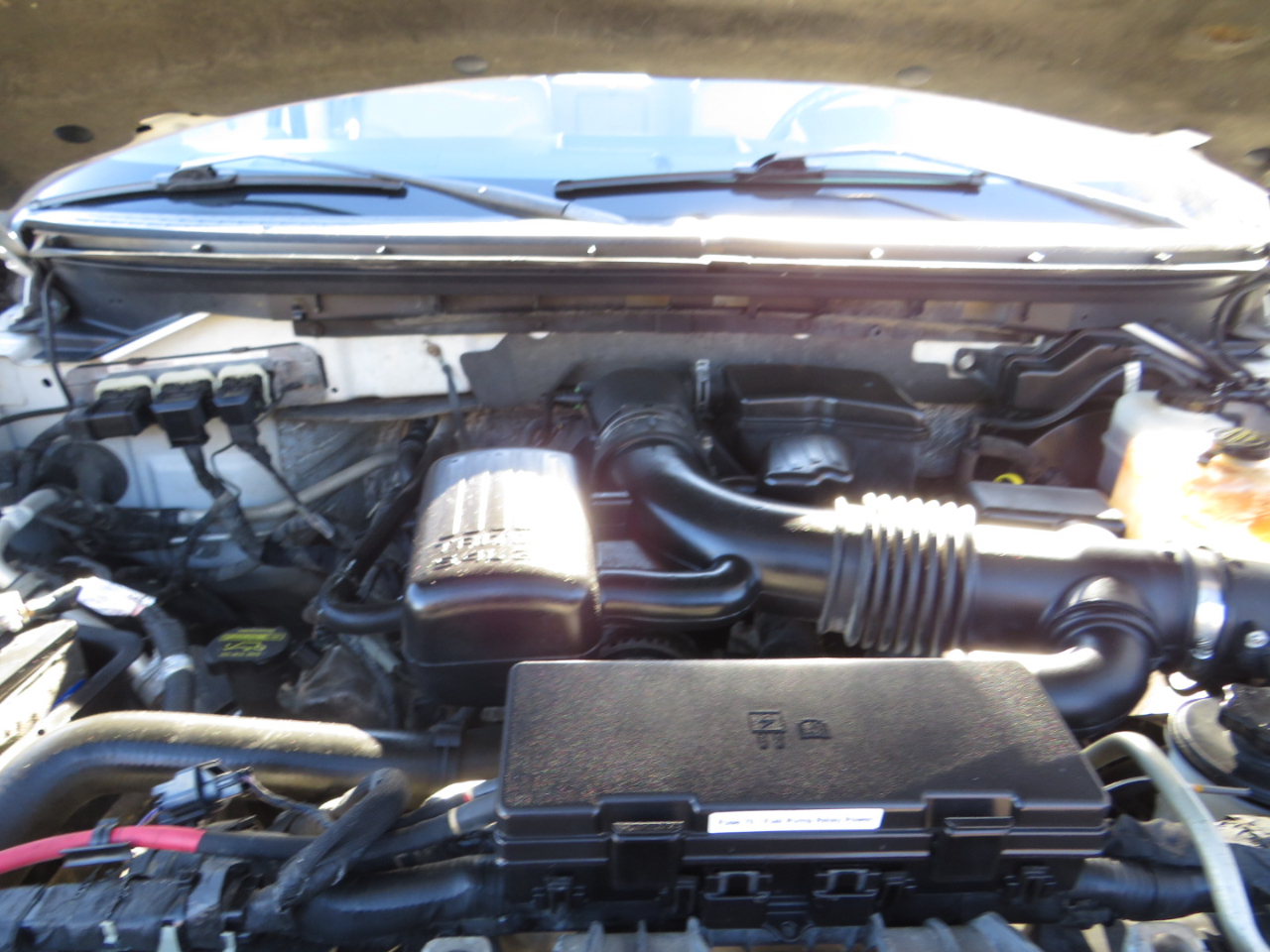 Ford F-150 AWD SuperCrew 145" Harley-Davidson 2010