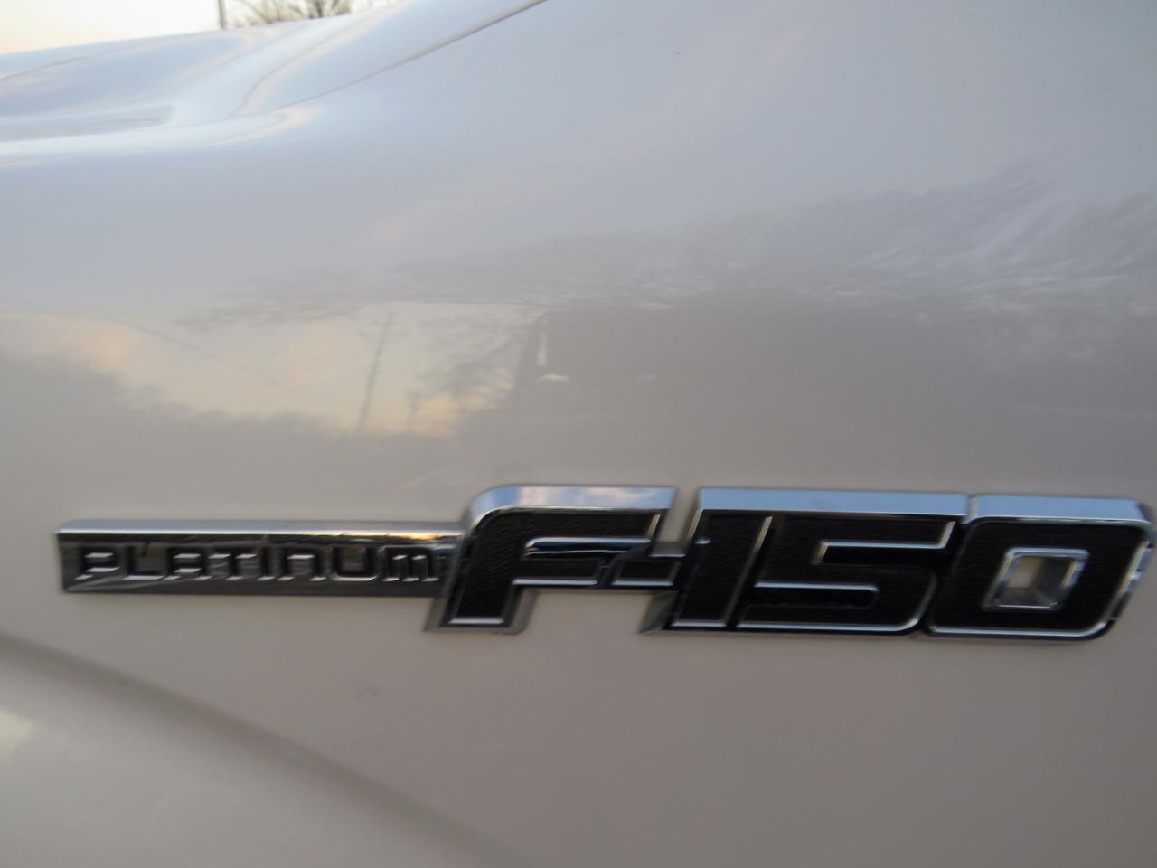 Ford F-150 4WD SuperCrew 145" Platinum 2013