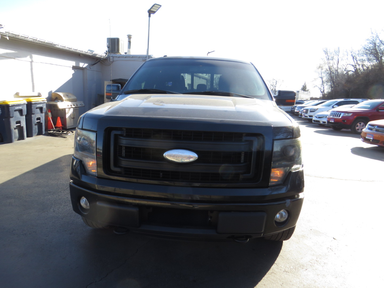 Ford F-150 4WD SuperCrew 145" Platinum 2013