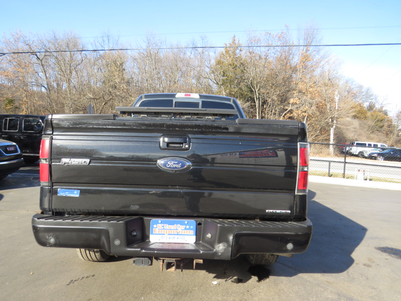 Ford F-150 4WD SuperCrew 145" Platinum 2013