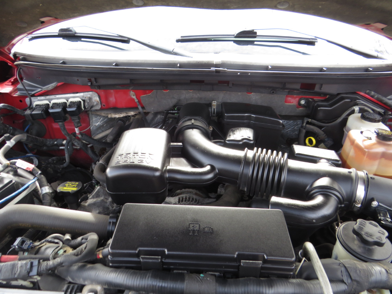 Ford F-150 AWD SuperCrew 145" Harley-Davidson 2010