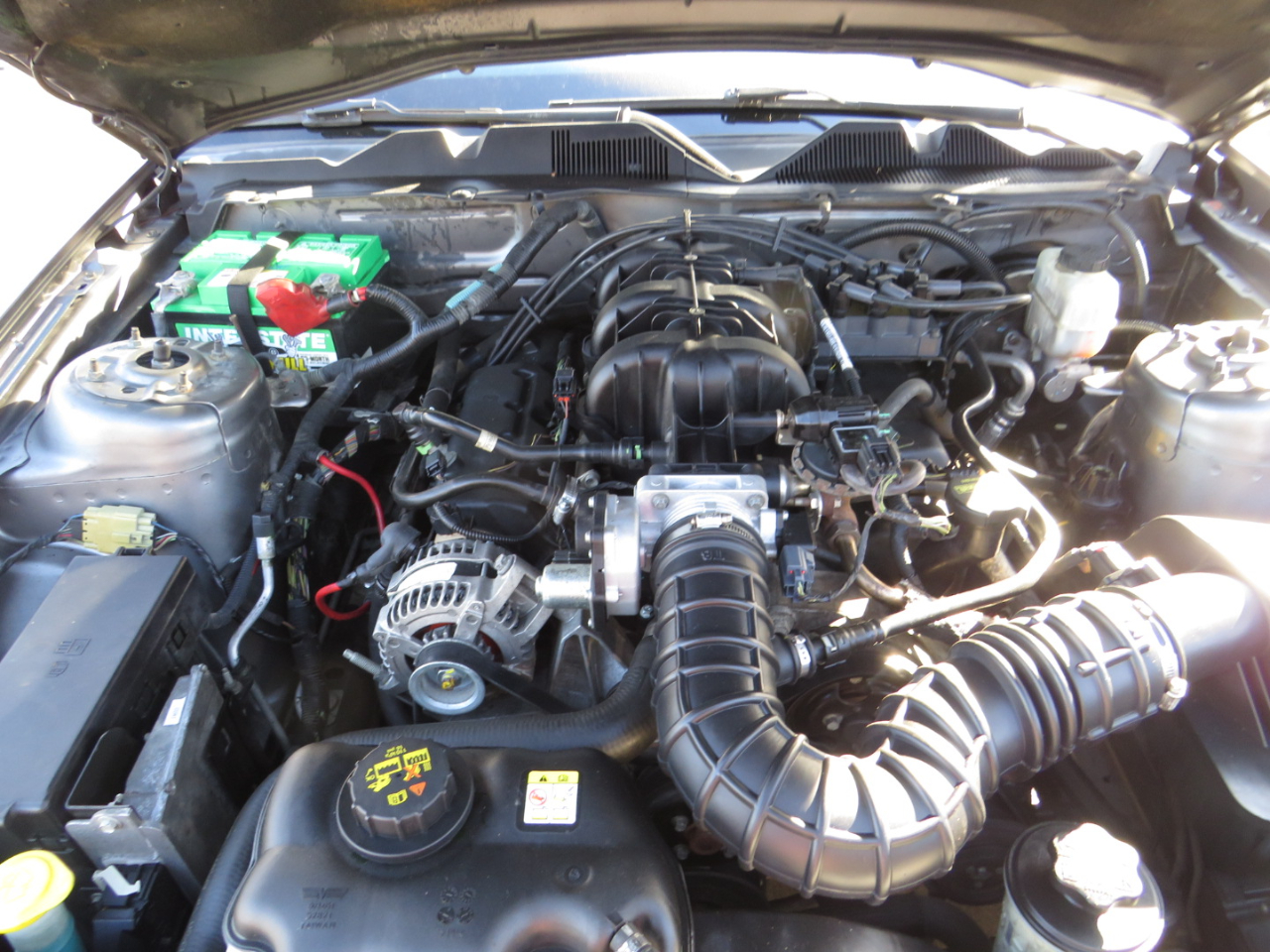 Ford Mustang 2dr Cpe V6 2010