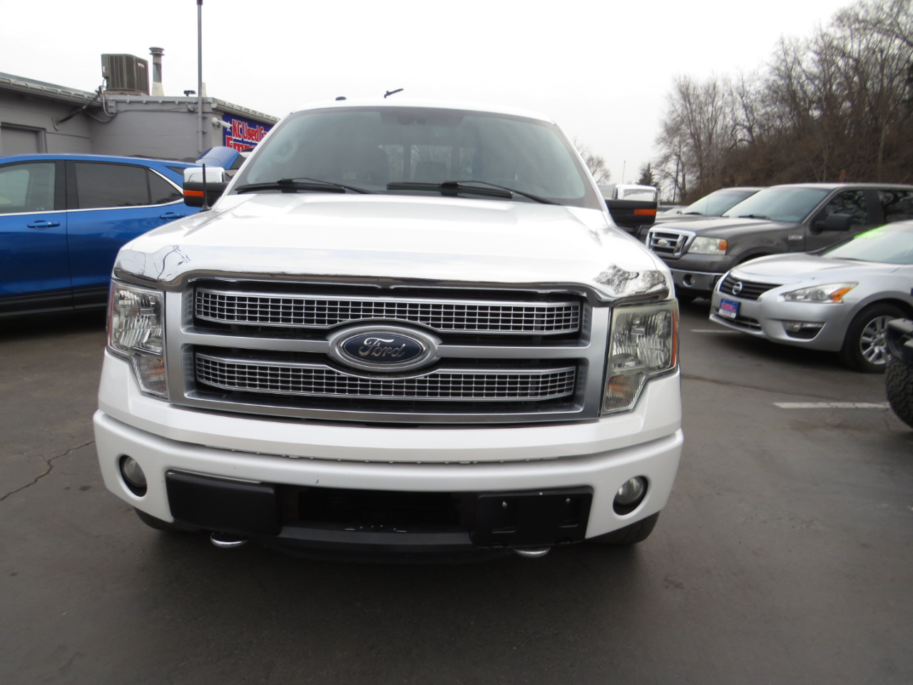 Ford F-150 4WD SuperCrew 145" Platinum 2012