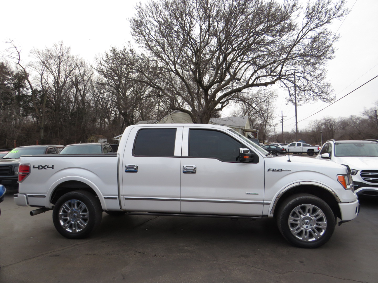 Ford F-150 4WD SuperCrew 145" Platinum 2012