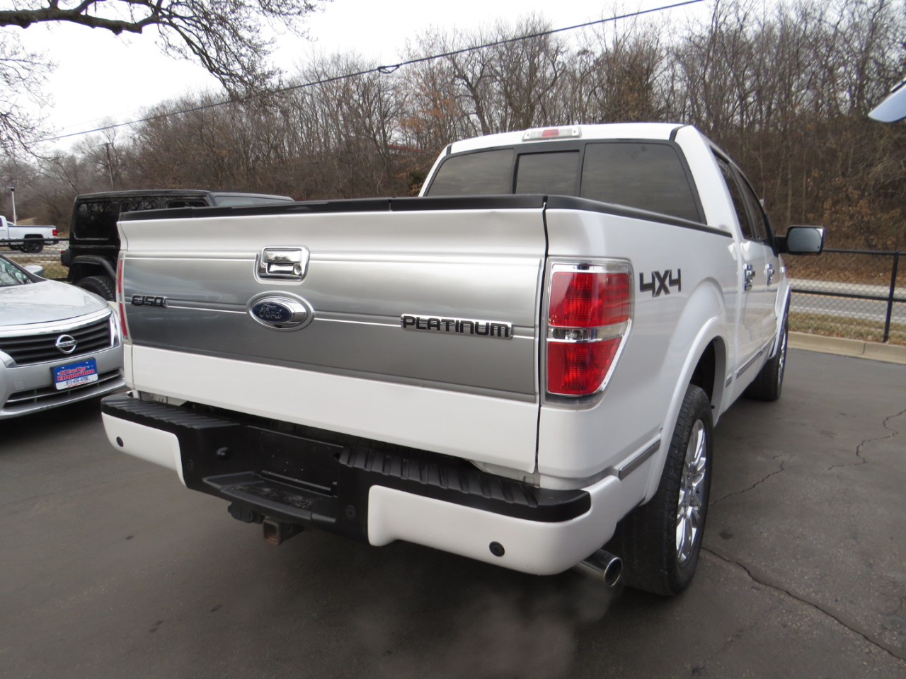 Ford F-150 4WD SuperCrew 145" Platinum 2012