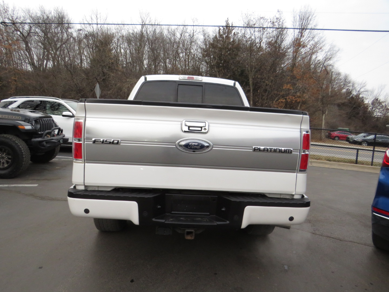 Ford F-150 4WD SuperCrew 145" Platinum 2012