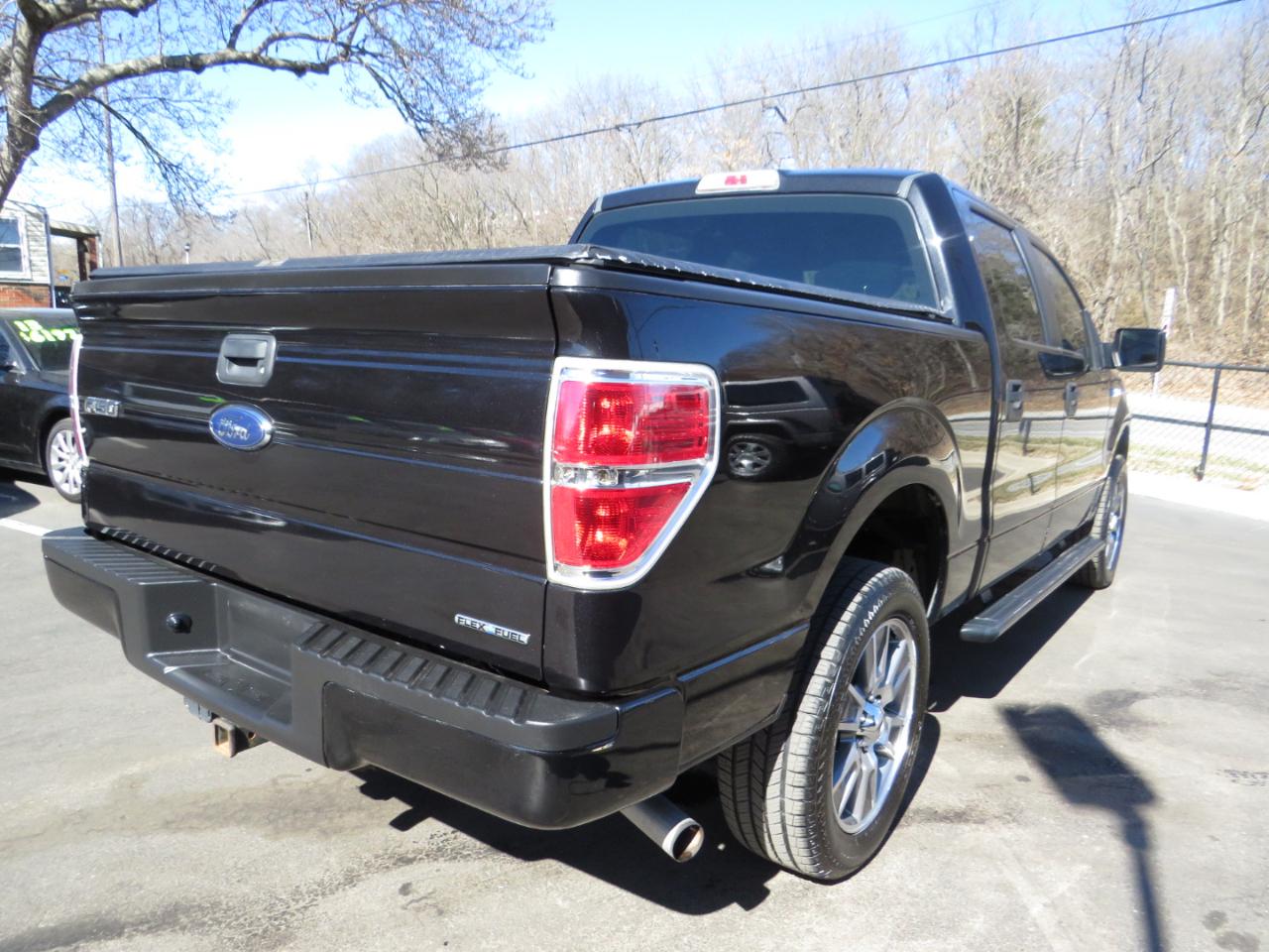 Ford F-150 4WD SuperCrew 145" Platinum 2014