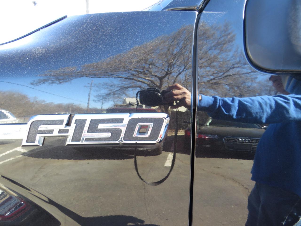 Ford F-150 4WD SuperCrew 145" Platinum 2014