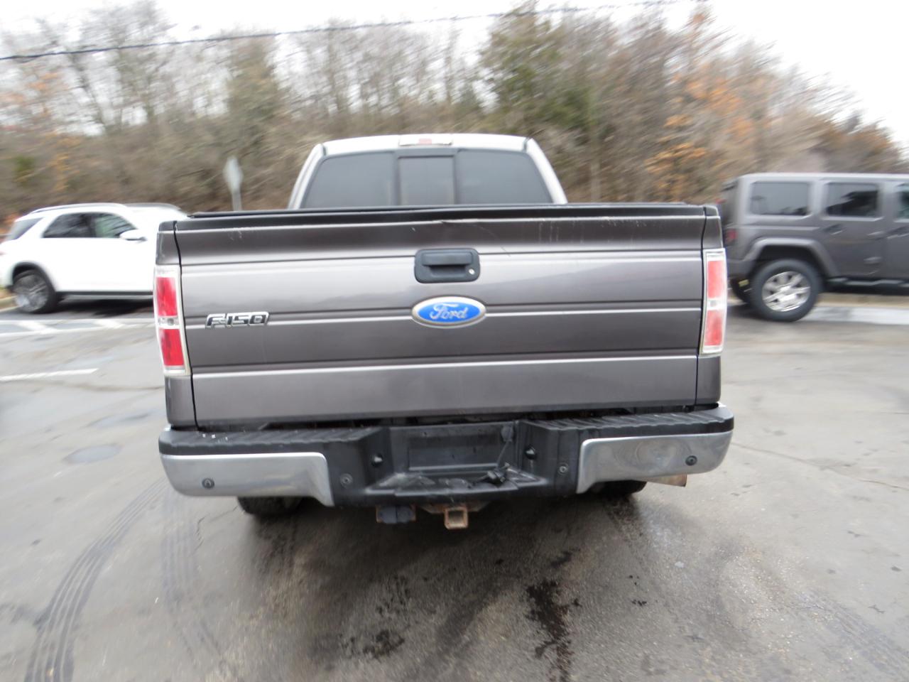 Ford F-150 4WD SuperCrew 145" Platinum 2011